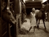 arielle-kebbel-horse-4