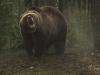 endangered-grizzly