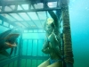 sara-paxton-cage-shark-night-3d