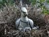 Hippogriff